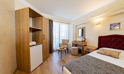 Şehir Manzaralı Standart French Oda 